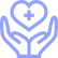 Healthcare icon